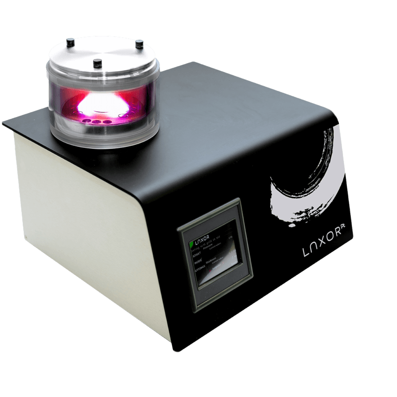 LuxorPt-3kopie-1