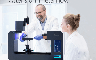 Theta Flow Online Demonstration