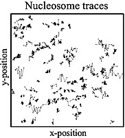 biomolecules
