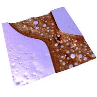 Picture1